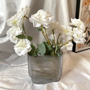 IMG_9025.webp