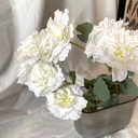 IMG_9026.webp