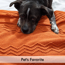 JPEG image.webp
