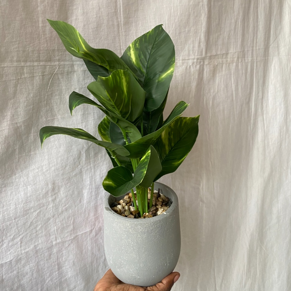 Grey Potted Plant