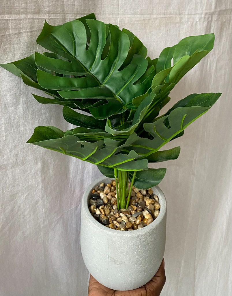 Grey Potted Plant