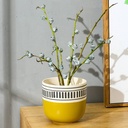 Matcha Vase