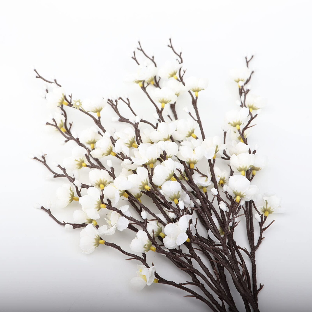 Cherry Blossoms