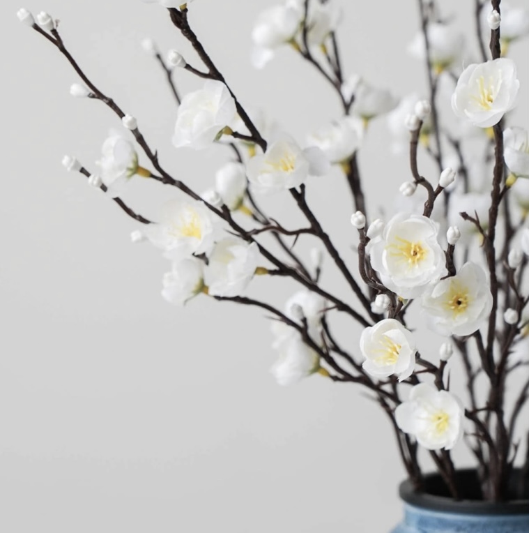 Cherry Blossoms