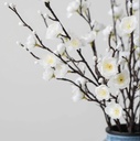 Cherry Blossoms