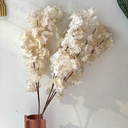 Jasmine Rose