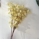 Jasmine Rose