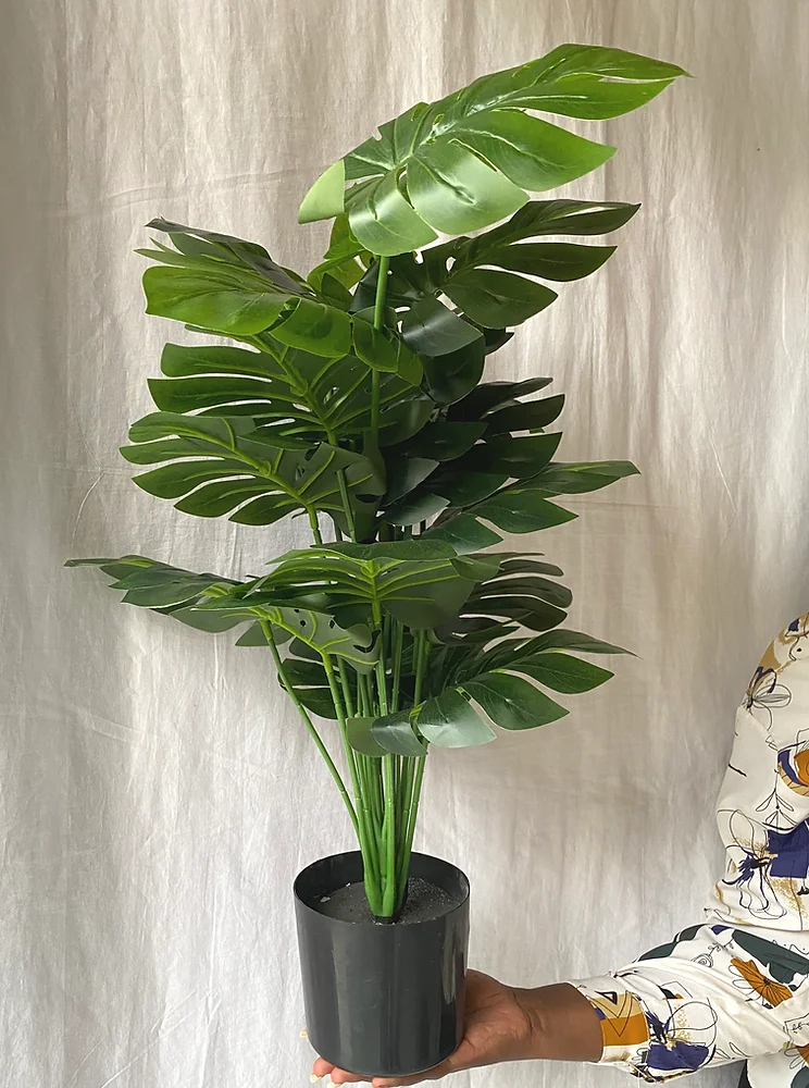 Faux Monstera
