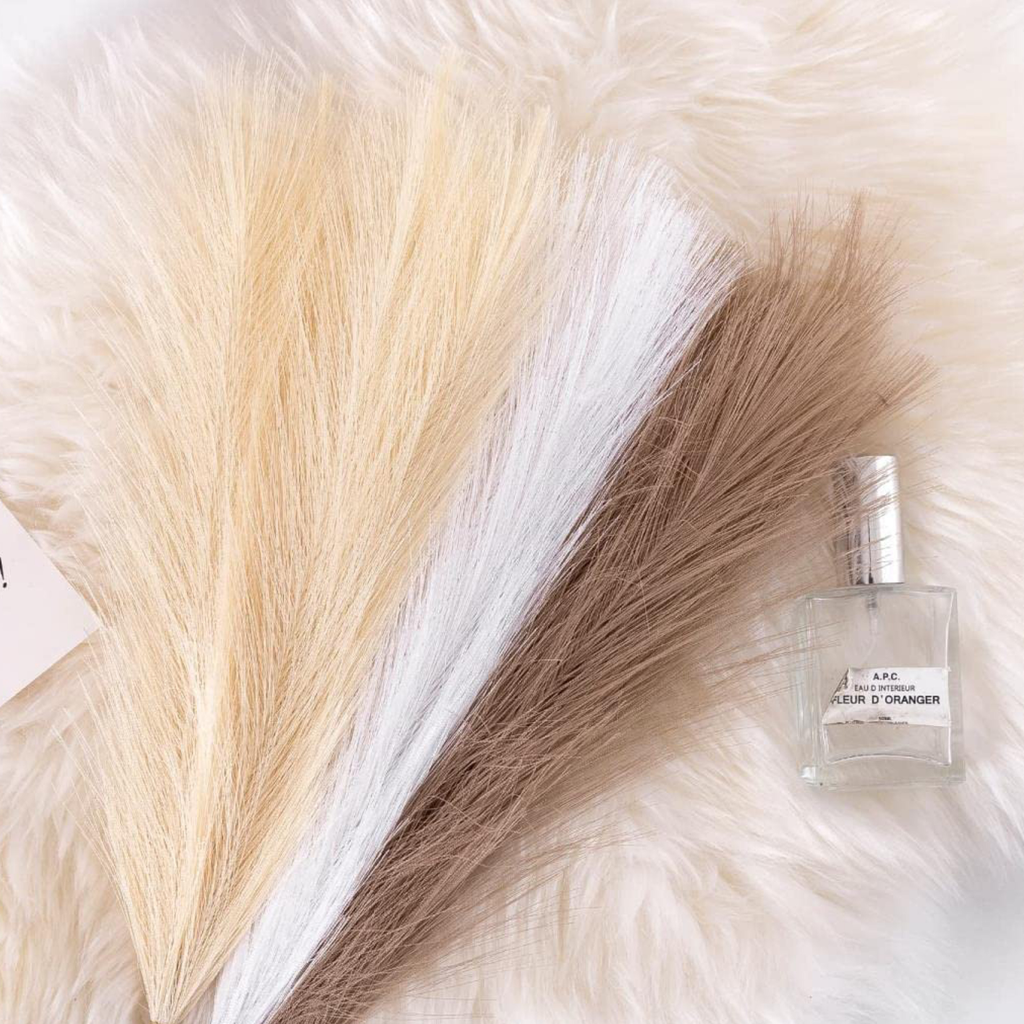 Pampas Grass
