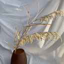 Faux Dried Pampas