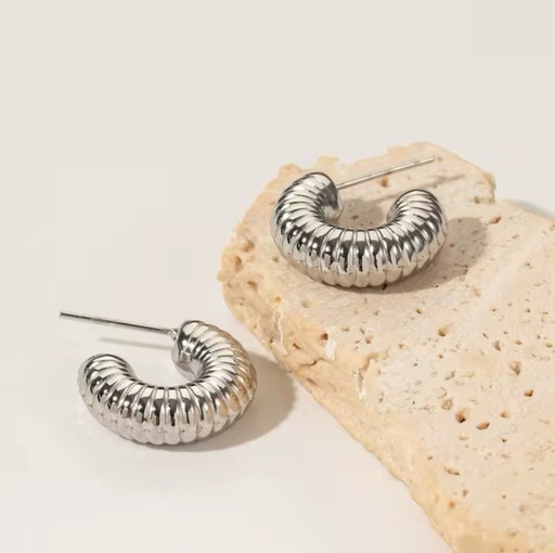 [JEWL-033] Shell Earrings