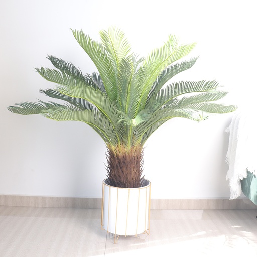 [HOME-041] Faux Cycas Palm