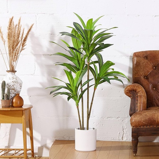 Faux Dracaena Tree