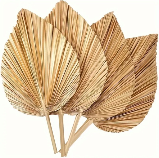 Palm Leaf 
