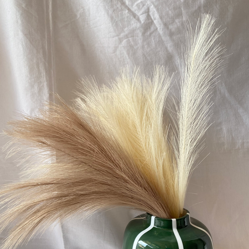 Pampas Grass