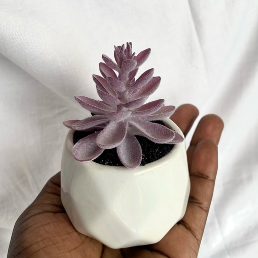 Faux Succulent