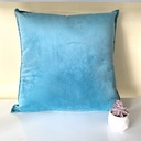 Velvet Cushion Cover